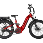 ebike 13