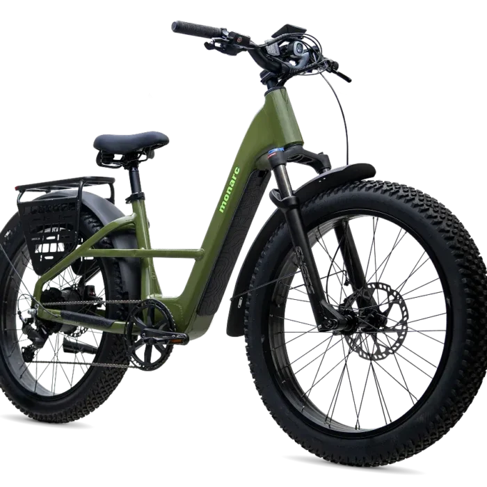 ebike 2 ebike 2