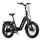 ebike 29