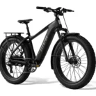 ebike 38