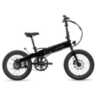 ebike 43