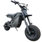 ebike 59