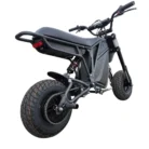 ebike 60