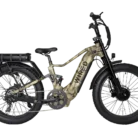 ebike 9