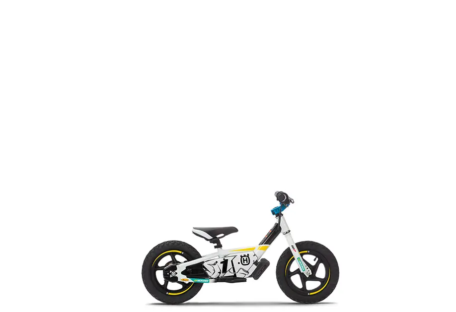 ebike 66 ebike 66