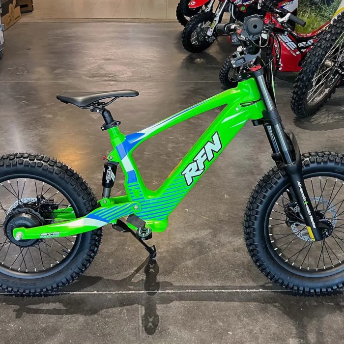 ebike 73