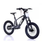 ebike 76