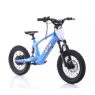 ebike 77