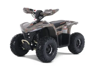 E-Hawk 6 ATV